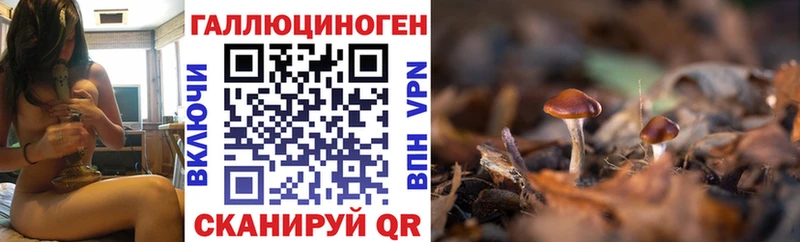 цены   Пущино  Псилоцибиновые грибы мицелий 